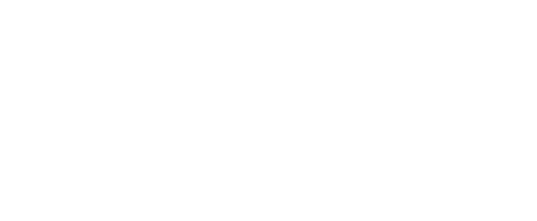 MHP